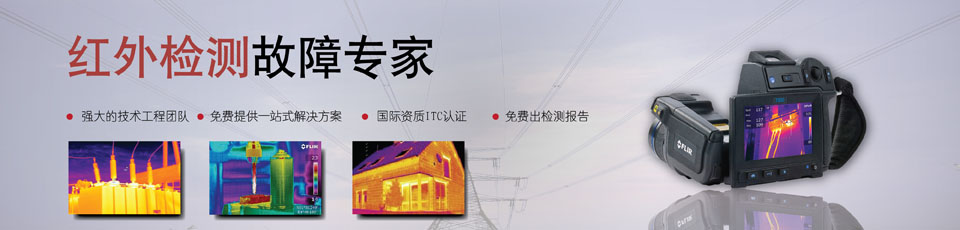 帶電檢測服務(wù)