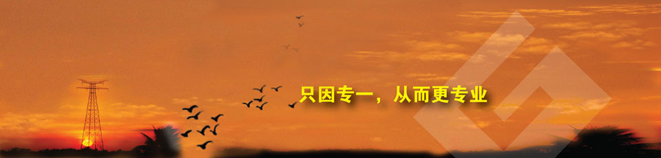 紅外熱成像系統(tǒng)在線測(cè)溫產(chǎn)品 紅外熱成像系統(tǒng)在線測(cè)溫產(chǎn)品